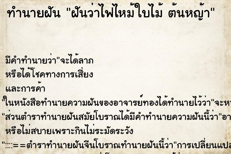 ทำนายฝัน ฝันว่าไฟไหม้ใบไม้ ต้นหญ้า ทำนายฝัน ฝันว่าไฟไหม้ใบไม้ ต้นหญ้า